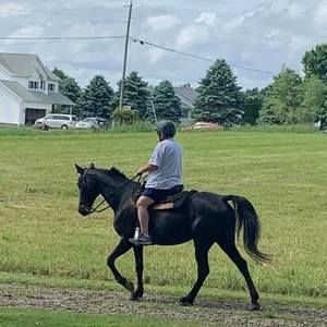 Meet your Posher, Roseann